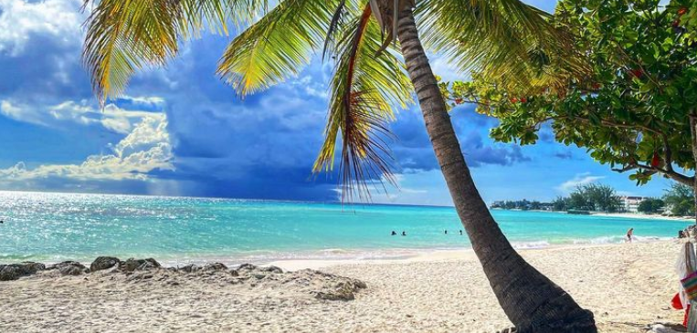 The Sands Beach in Barbados